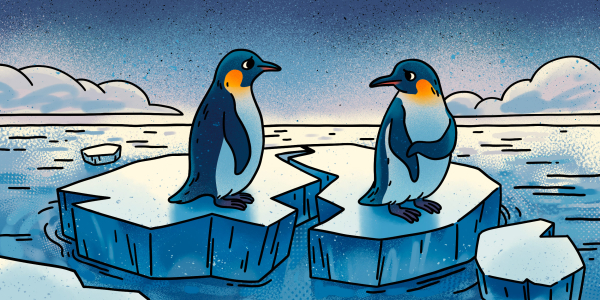 947c8dd54037c8645d0108bf405af14c