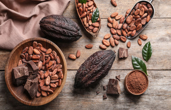 На восстановление поврежденного дерева требуется 5 лет!