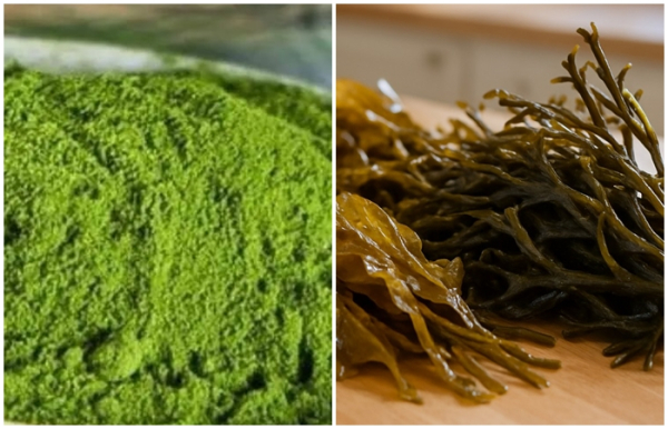 9d40cd7ad76a3efb164fc9586d908b1e