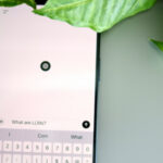 ChatGPT нарешті навчився не використовувати довге тире – через три…