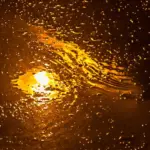 Як Марк Твен передбачив свою власну смерть: збіг, який досі…