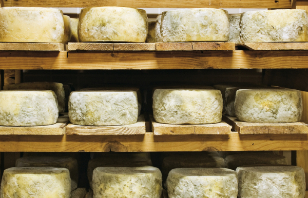 Первый сыр стали готовить в домашних условиях.