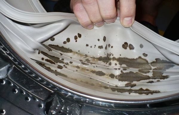 Якщо не мити пральну машину, з'явиться цвіль Если не мыть стиральную машину, появится плесень