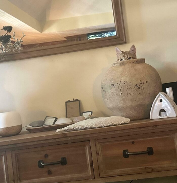 ab09d7280e8b847c099d30331dc4995c