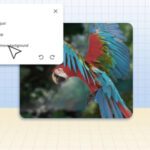 Adobe випустила безкоштовне розширення Photoshop для редагування фото прямо у Chrome