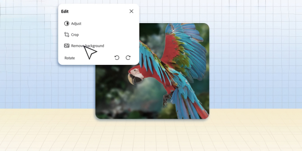 b19a8c5c3a9cc852d9b8ef443c1e489f