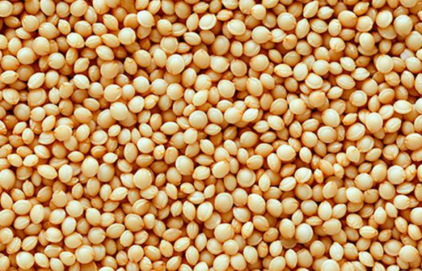 В21 веке амарант стал суперфудом!