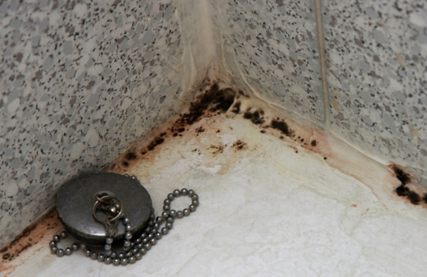 Цвіль часто з'являється у ванній кімнаті Плесень часто появляется в ванной комнате