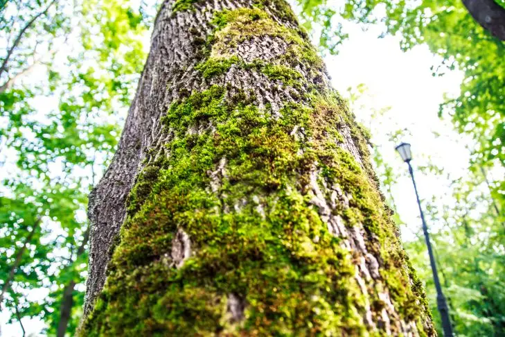 c83f27ca464ab346847bd51f0c99a809