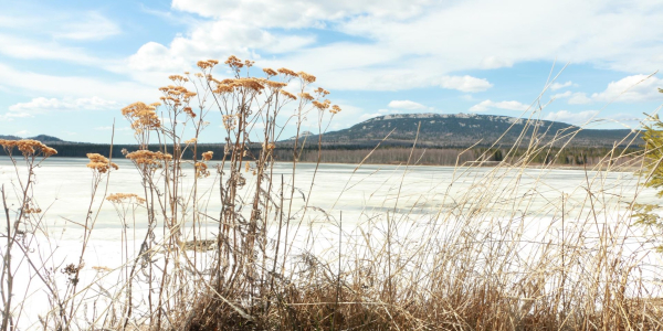 cf17a3970675970a44b42150093e0348