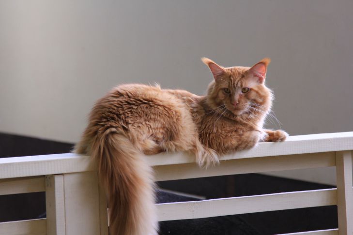 cf2443f13ed0d914f60cd0928c15e073