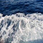 Який айсберг вважається найбільшим в історії: куди він пливе зараз…