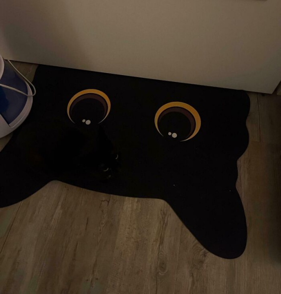 dac33d5f1bfa73ce47e7e99286f05e83