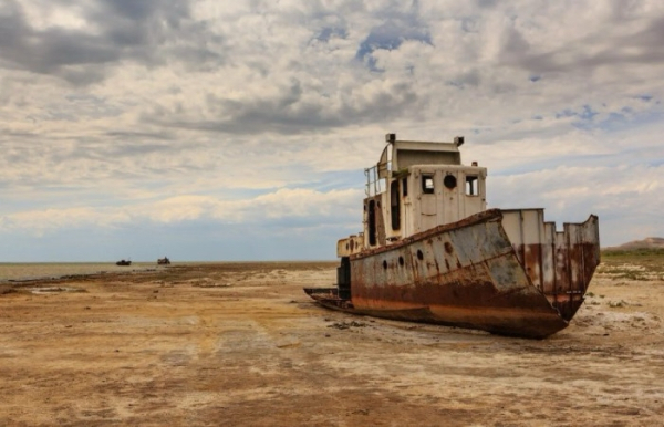 На дне нашли даже останки древних лесов.