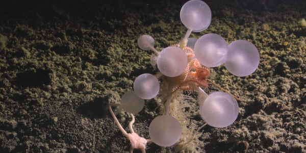 e6c5584025a59d1354d35f3f9d8a171a