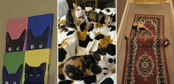 f0d805913932d1a86811b95b27a46ea0