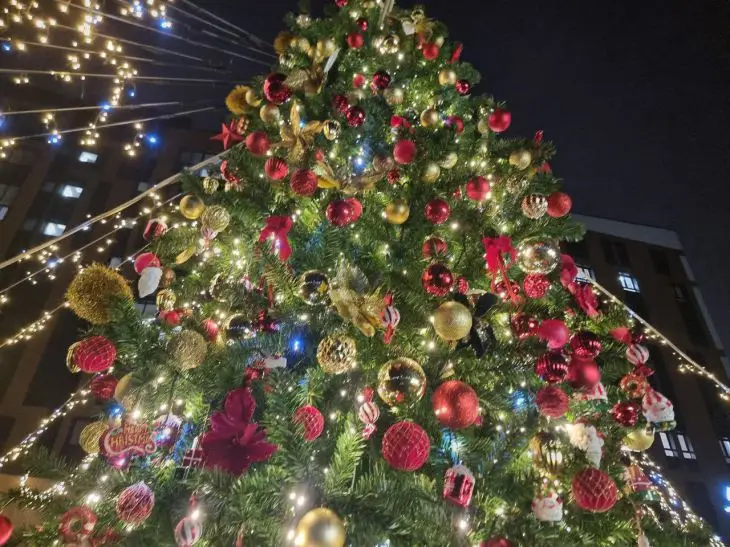 f109c979f4a8c0f0a21370fdce12d28d