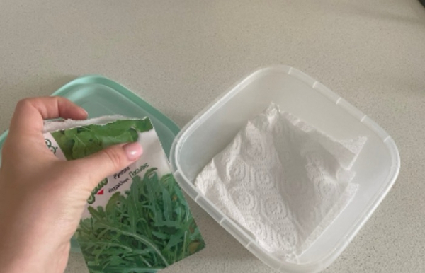 Микрозелень можно выращивать самостоятельно.