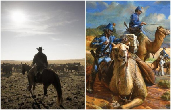 f8e3830dc578adfced6d8b737e879b2c