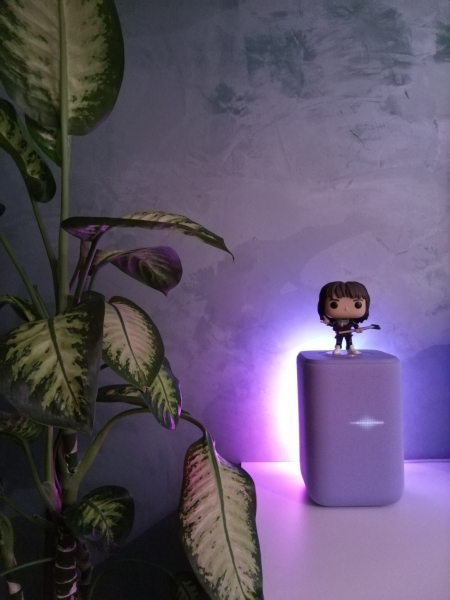 Фото на основную камеру