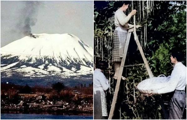 Розыгрыши, оставившие след в истории. /Фото: forbes.com, open.prodir.com