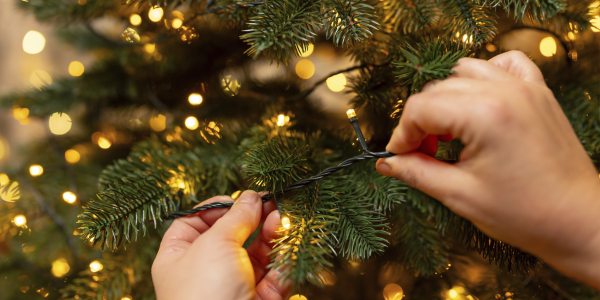 Гірлянди: види, варіанти для вулиці та будинку, поради щодо вибору