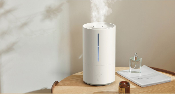 По возможности приобретите увлажнитель воздуха.  Фото: carousell.sg.