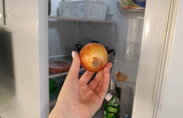 Лук стоит хранить в кладовке.