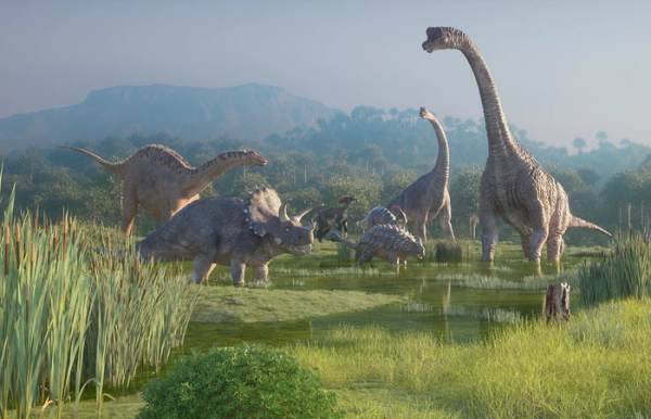 О столь древних существах мифы ходят до сих пор. /Фото: cmosc.org