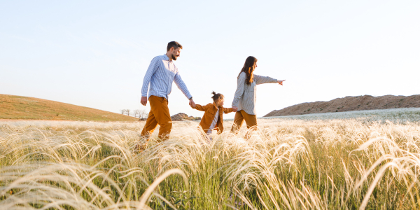 Государство оказывает меры поддержки семьям с детьми