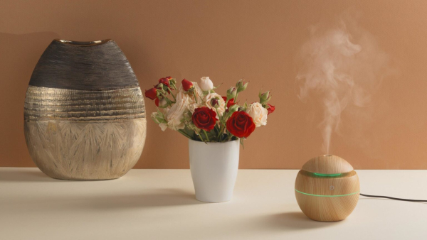 Даже самый скромный увлажнитель воздуха способен улучшить ситуацию.  Фото: rosprintex.ru.