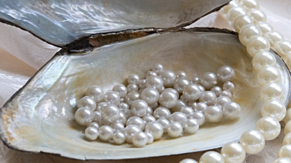 Діяльність людини сприяла зникненню перлів. / Фото: shopbusin.ru Деятельность человека поспособствовала исчезновению жемчуга. / Фото: shopbusin.ru