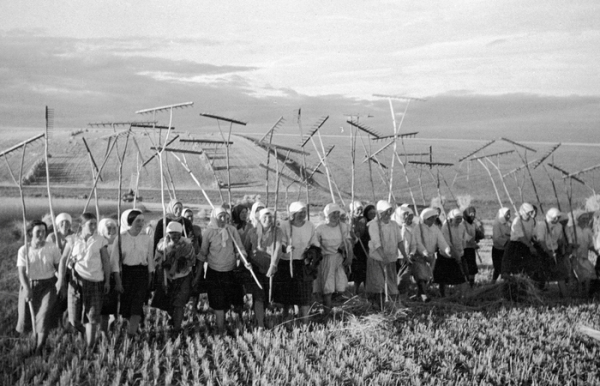 Обещали результат. /Фото: dp.ru. 