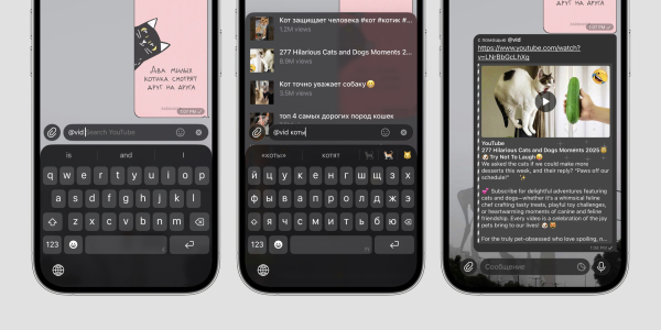 Инлайн-боты в телеграм: @vid