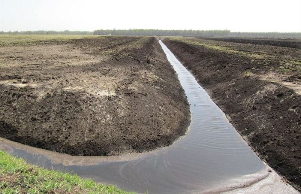 Ситуация была сложная. /Фото: pramen-news.by. 