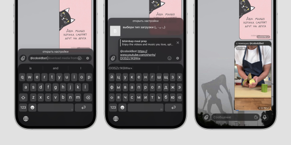 @coboldbot — инлайн-бот в телеграм для скачивания видео из YouTube по ссылке