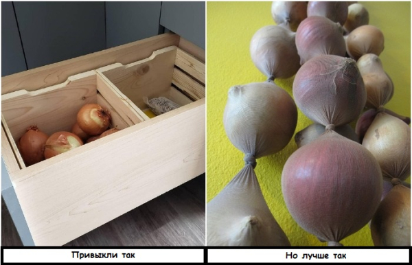 Складывайте лук не в ящик, а в колготки
