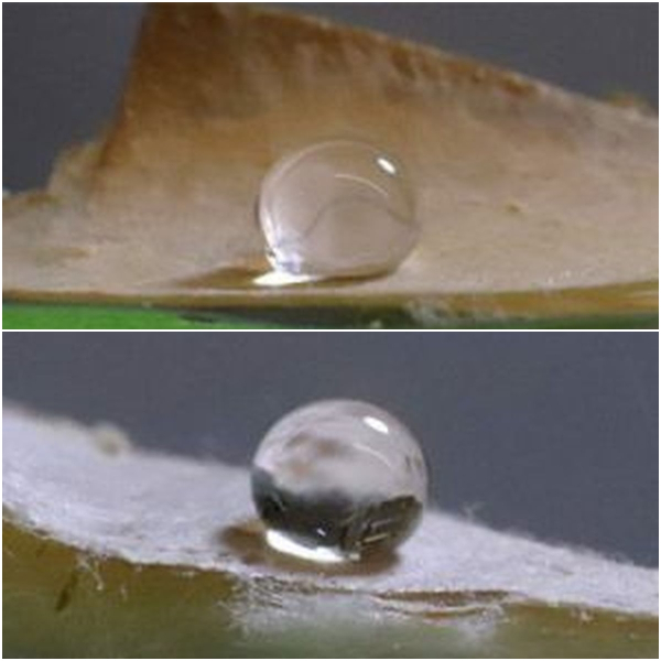 Экспериментальный результат.  Фото: interestingengineering.com.