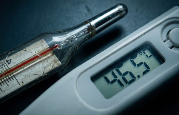 Уилли установил мировой рекорд, когда выжил.