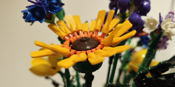 REDMI Note 15 Pro+ 5G: фото на смартфон