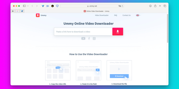Как скачать видео с сайта с помощью Ummy