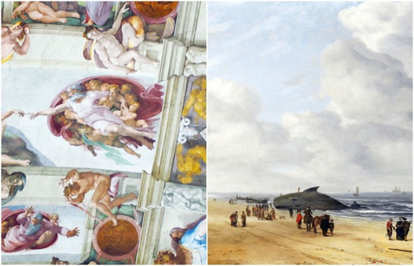 «Мозок» Сикстинської капели та замальований кит: 5 зображень, прихованих у…