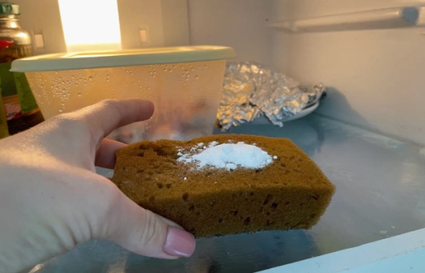 Незвичайне застосування дешевої губки для посуду: навіщо класти її до&hellip;