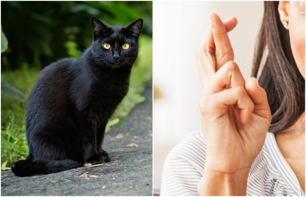 Схрестити пальці, постукати по дереву: як з'явилися найпопулярніші забобони