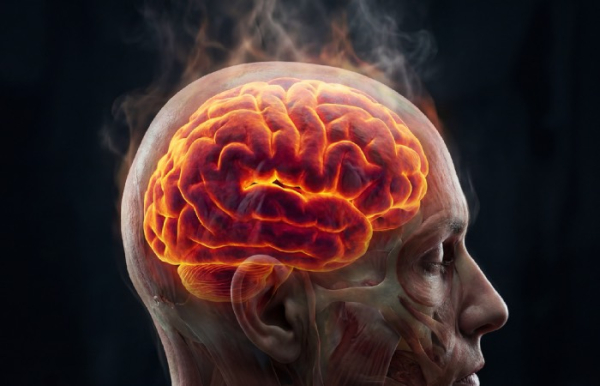 Именно головной мозг страдает в первую очередь.