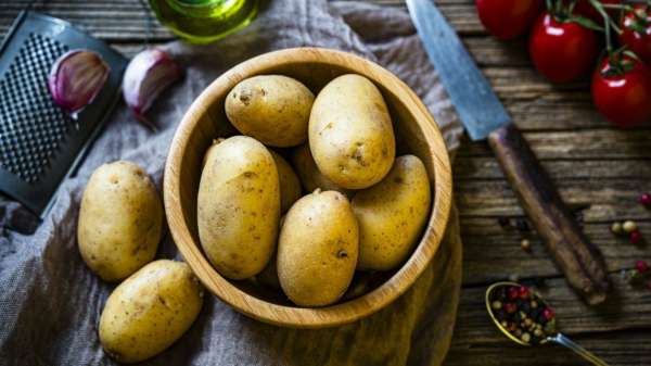 Картофельный крахмал - абсорбент. / Фото: championat.com 