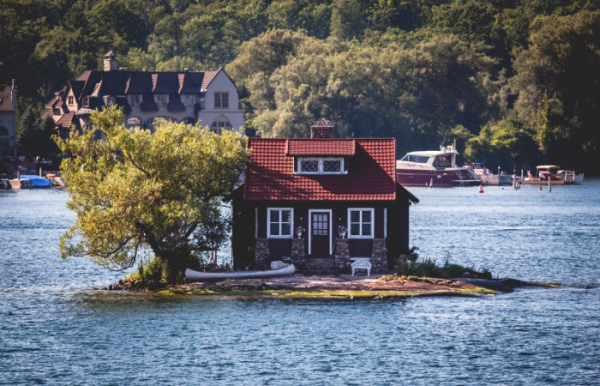 Дерево, дом и пару скамеек.