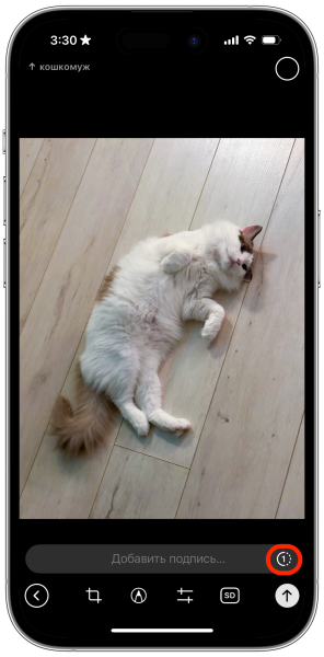 Как отправить исчезающее фото в Telegram: нажмите на значок с единичкой