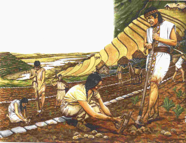 Історія сублімації картоплі сягає корінням у цивілізацію інків. Фото: webetab.ac-bordeaux.fr. История сублимации картофеля уходит корнями в цивилизацию инков. Фото: webetab.ac-bordeaux.fr.