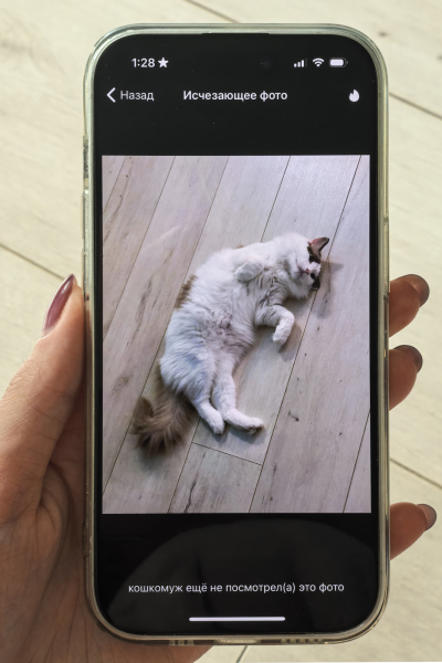 Як зробити всі повідомлення в Telegram зникаючими: